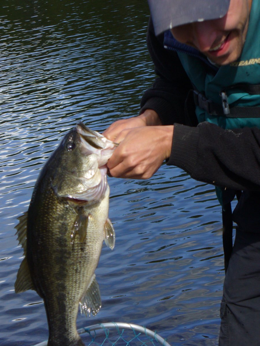 caught a bass
